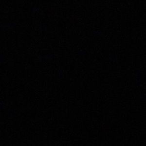 Meet your Posher, Brigitte